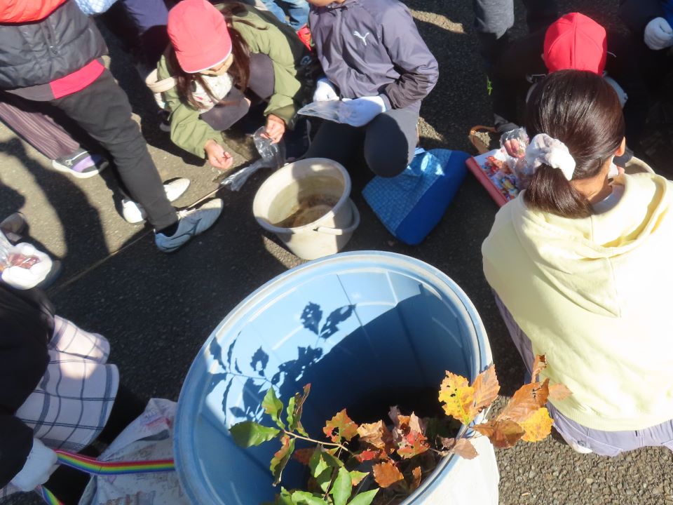 小山内裏公園241203南大沢小学校どんぐり植栽体験 (3)