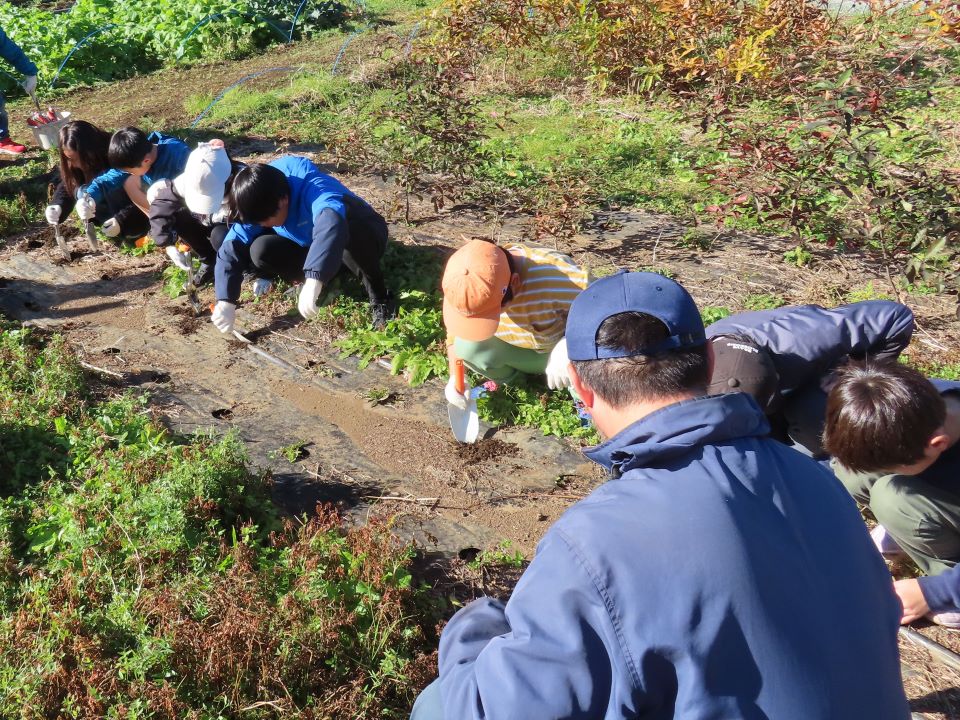 小山内裏公園241203南大沢小学校どんぐり植栽体験 (7)