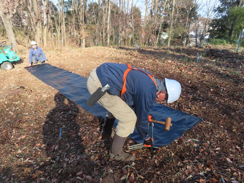 小山内裏公園250129すべり台上樹林地どんぐり苗植栽準備 (7)