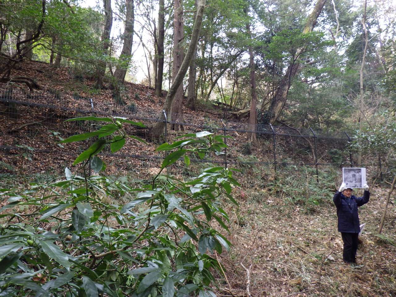 小山内裏公園250201里山ブックファースト (161)
