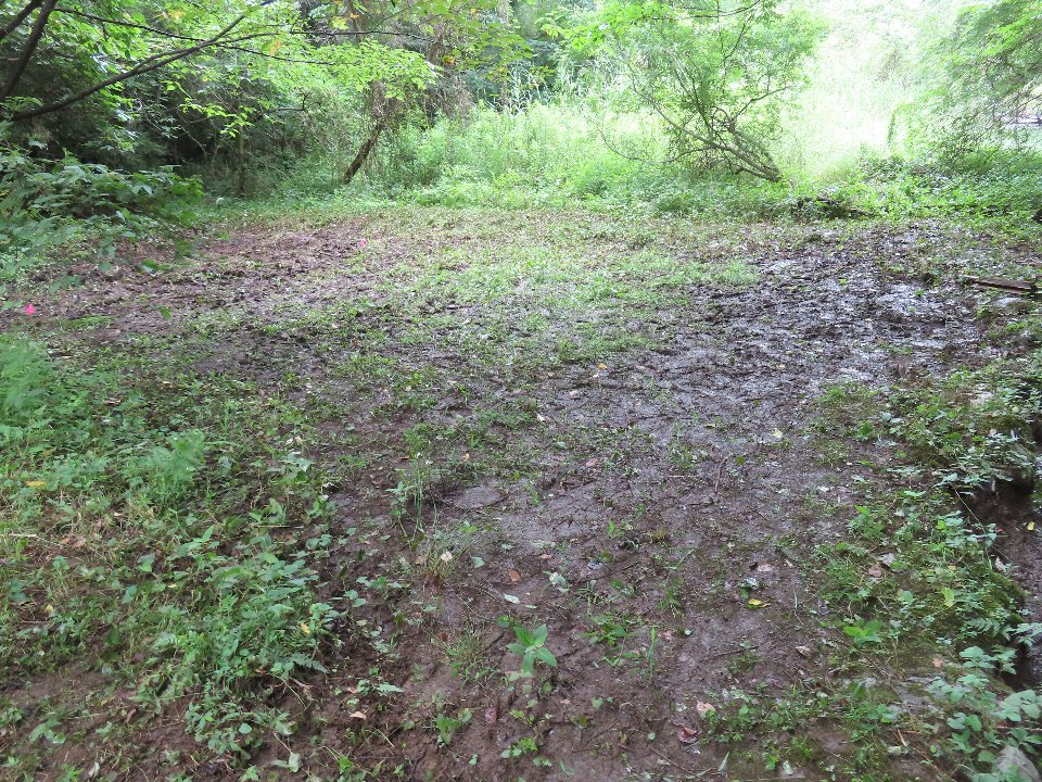 小山内裏公園250712プレミアムサンクチュアリツアー (13)