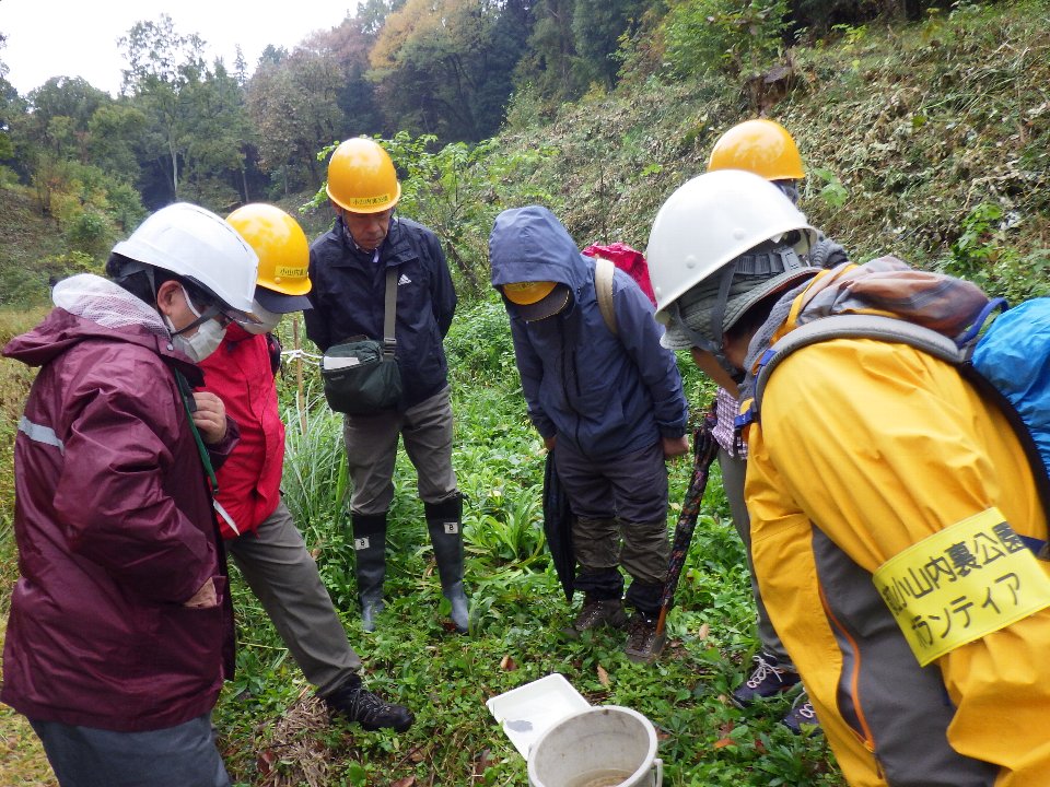 小山内裏公園251109津島谷戸水生生物観察