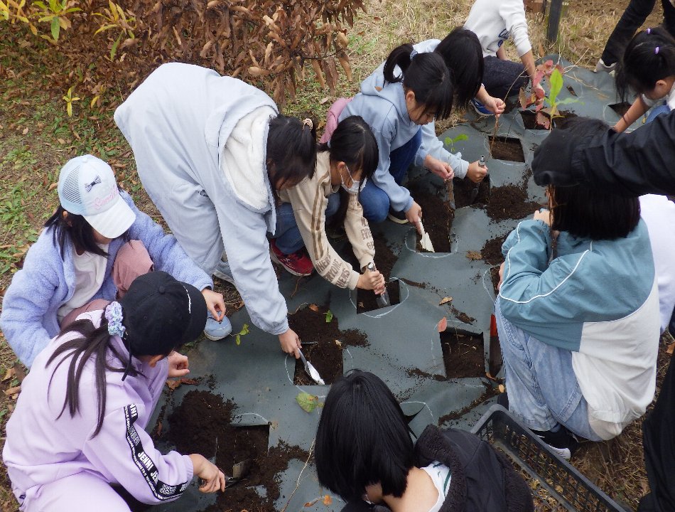 小山内裏公園251202南大沢小学校どんぐり植栽体験 (23)