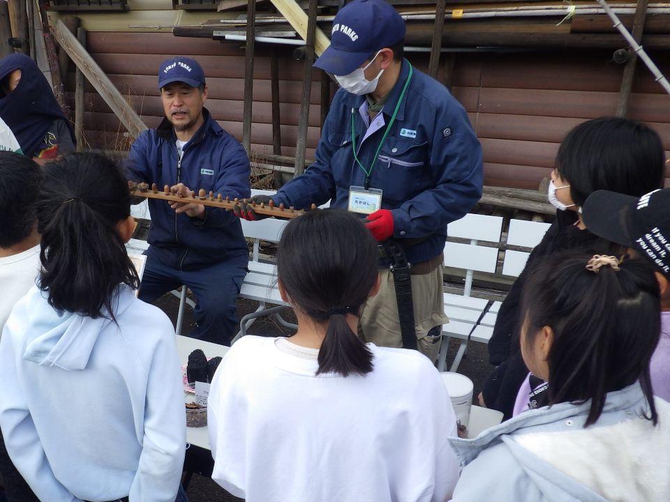 小山内裏公園251202南大沢小学校どんぐり植栽体験 (30)