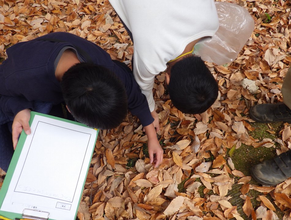 小山内裏公園251202南大沢小学校どんぐり植栽体験 (5)