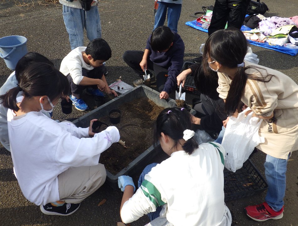 小山内裏公園251202南大沢小学校どんぐり植栽体験 (8)