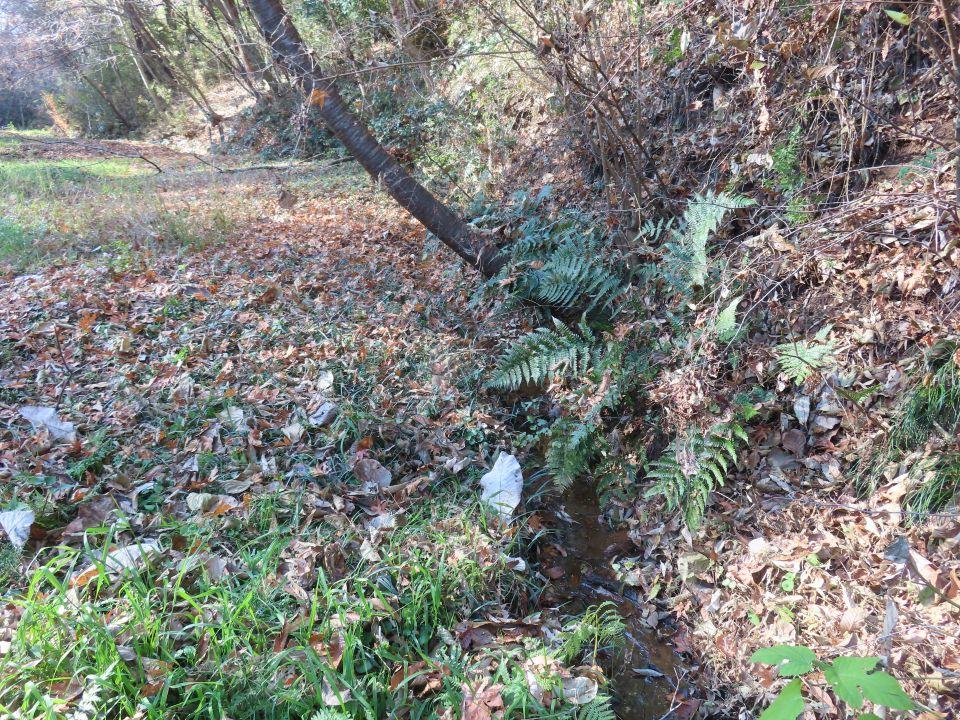 小山内裏公園251208大田切北ホタル生息地
