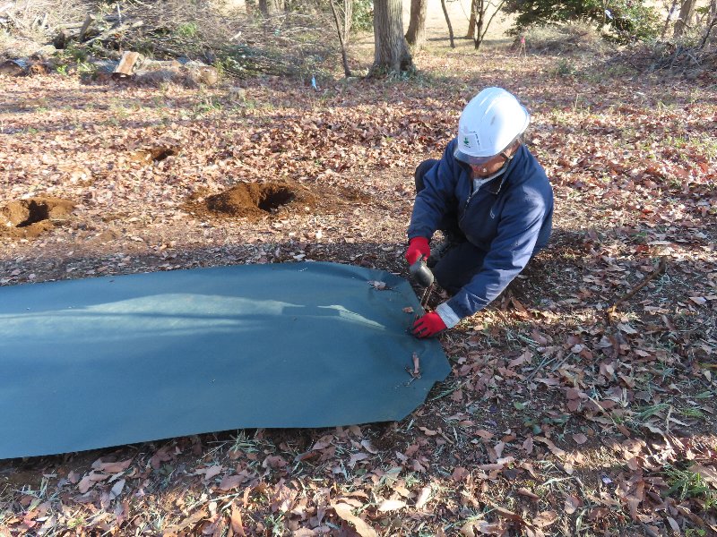 小山内裏公園260201多目的広場上どんぐり植栽準備 (9)