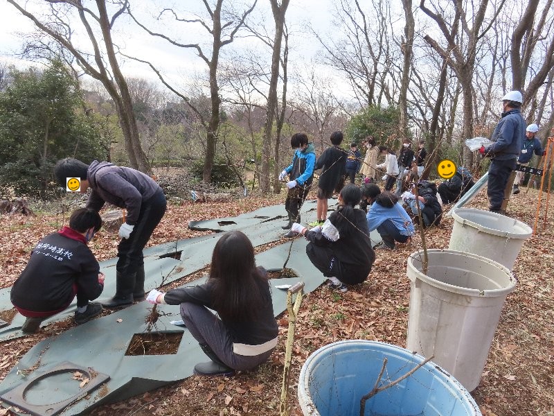 小山内裏公園260213南大沢小学校どんぐり植栽体験 (2)
