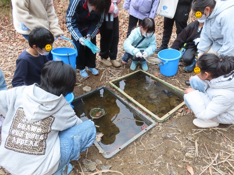 小山内裏公園260220南大沢小学校児童のカエルの卵保護体験 (2)