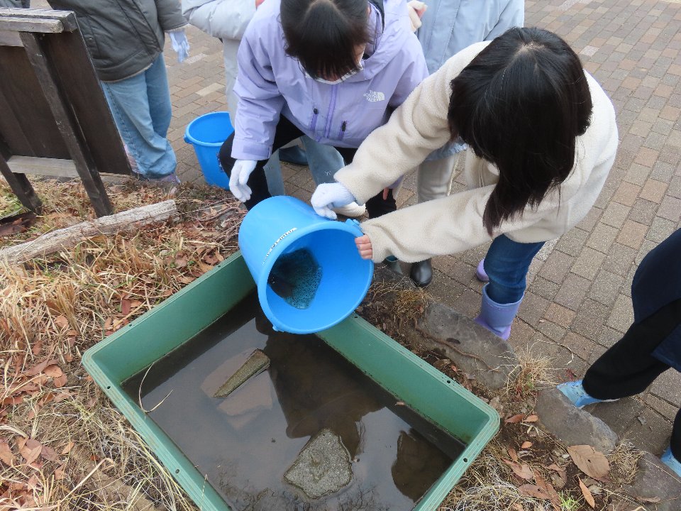 小山内裏公園260220南大沢小学校児童のカエルの卵保護体験 (4)