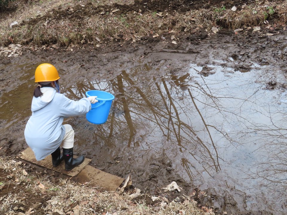 小山内裏公園260220南大沢小学校児童のカエルの卵保護体験 (7)