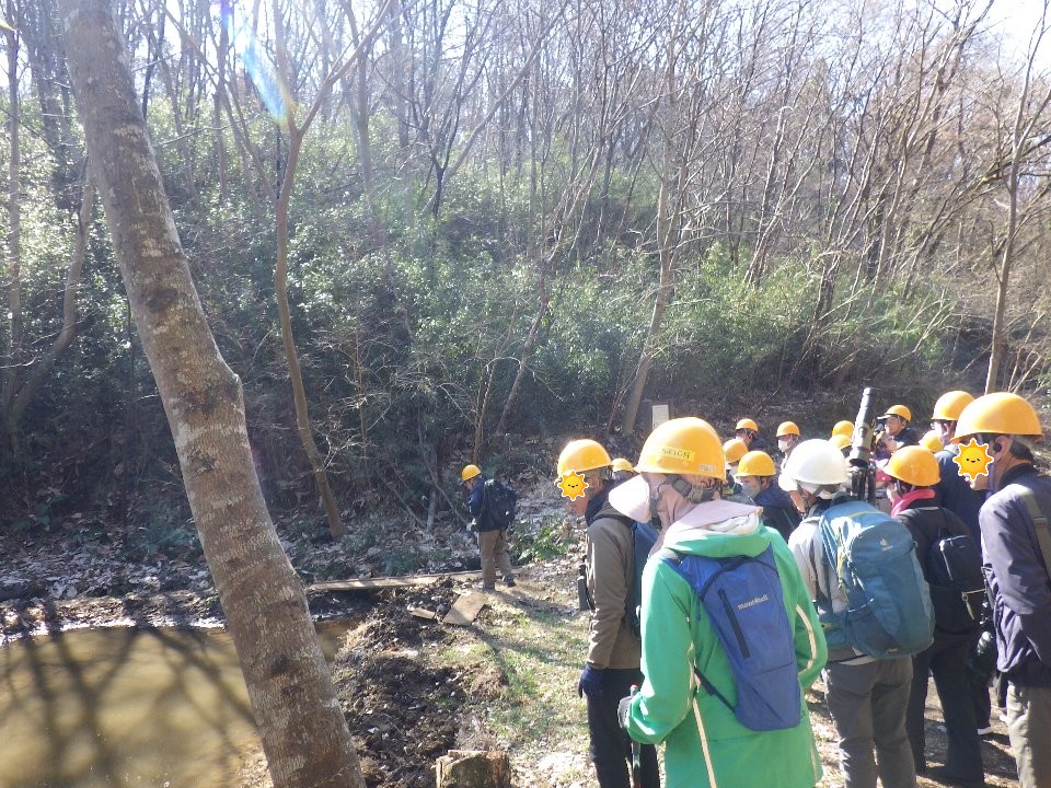 小山内裏公園260308サンクチュアリでの観察