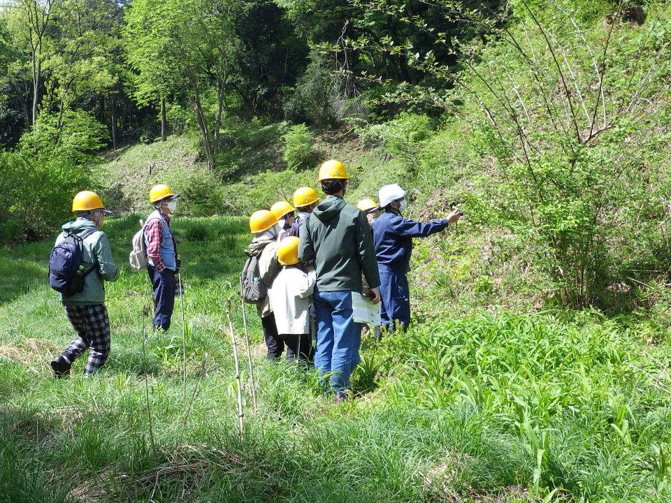 小山内裏公園260418津島谷戸の観察