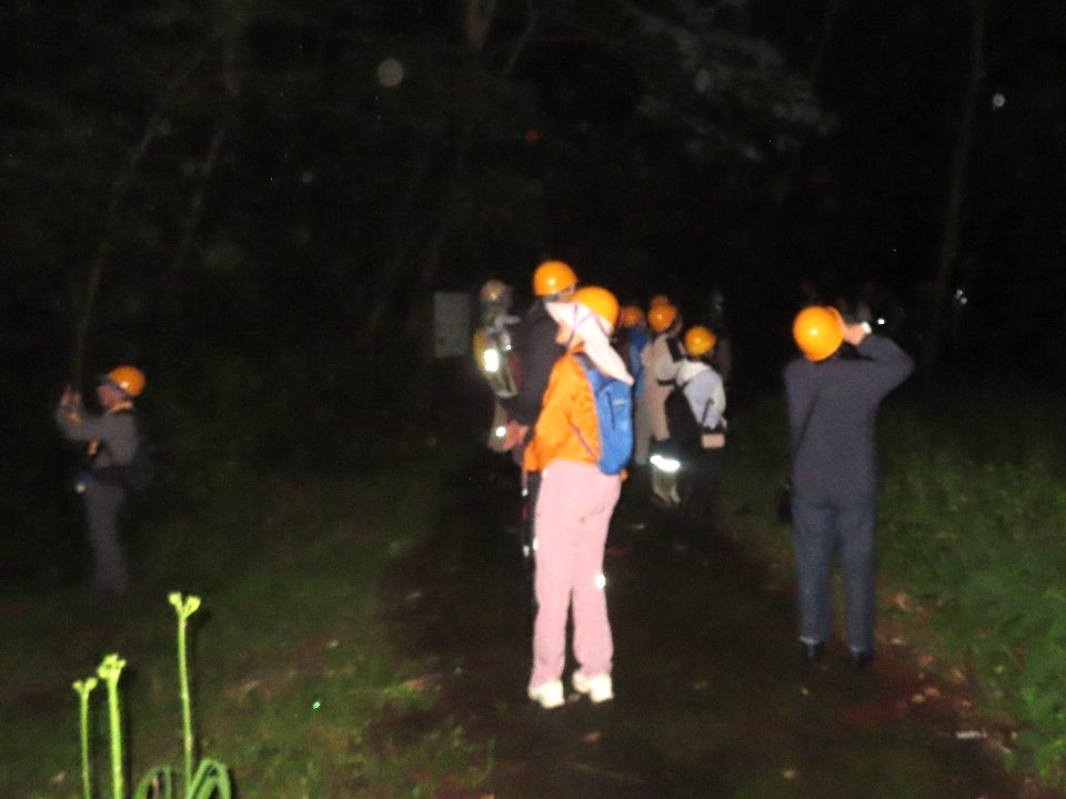 小山内裏公園260621ホタル観察会 (32)
