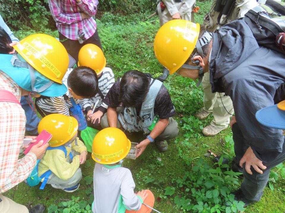 小山内裏公園260913大田切北の観察