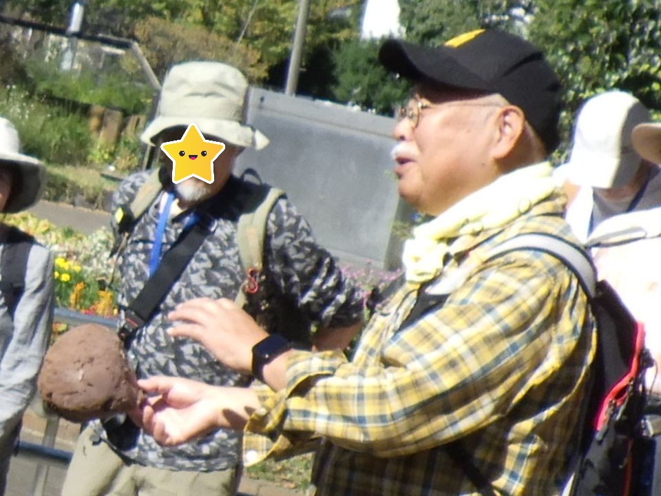 小山内裏公園261011オニフスベ解説