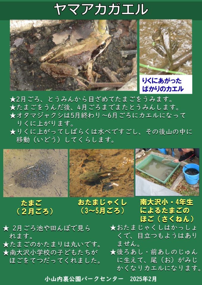 250221サテライトサンクチュアリ解説サイン