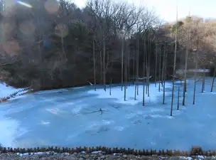小山内裏公園220108大田切池_01