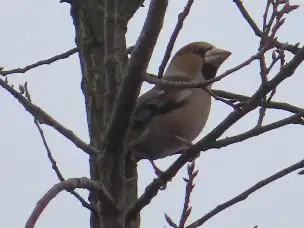 小山内裏公園220220シメ_01