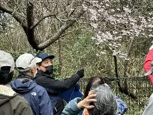 講師ヤブザクラ解説_03
