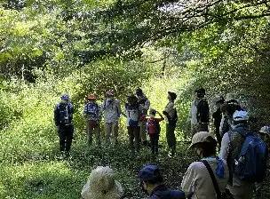 小山内裏公園20220724大田切北観察_02