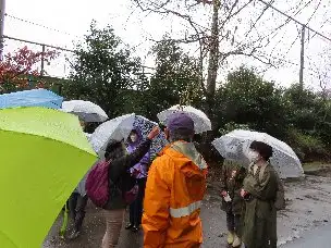小山内裏公園230325春の植物観察会 (8)_01
