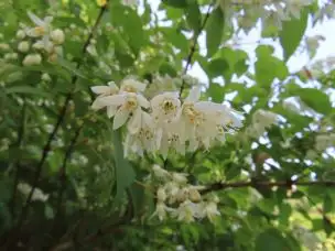 1_230518utugi_01