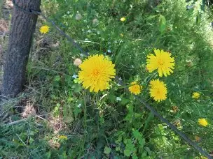2_230524burana_02