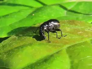 1_230524egoturukupiotosibumi_01