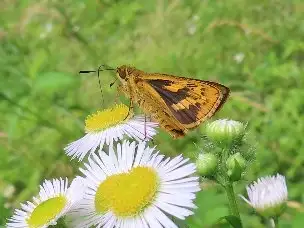 1_230619kimadaraseseri_01
