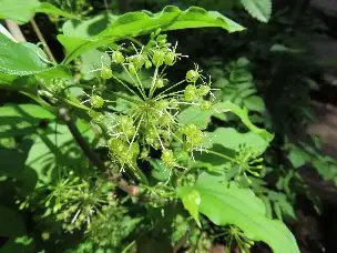 4_230702siode_04