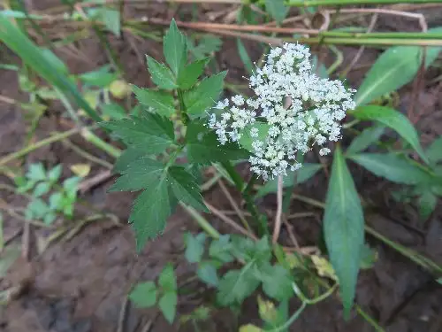 5_230713seri_05