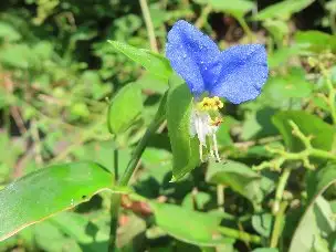 2_230724tuyukusa_02