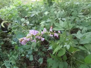 2_230827fujikanzou_02