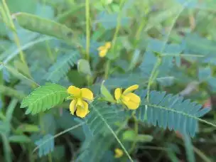 3_230918kawaraketumei_03