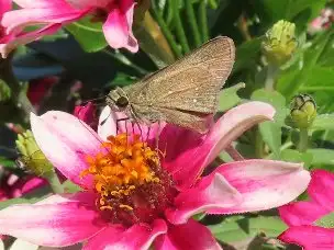 3_231018cyabaneseseri_03