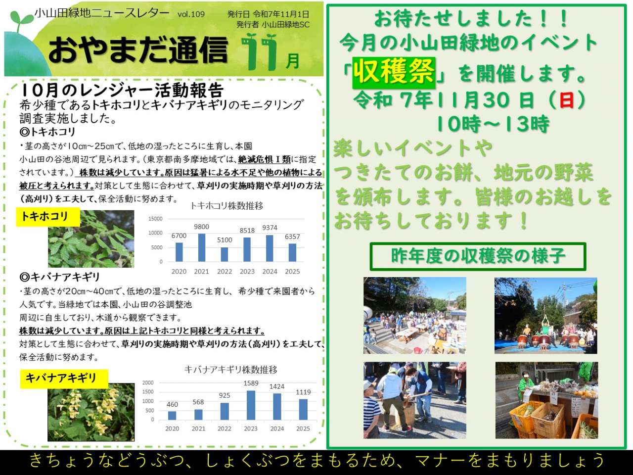 ニュースレター11月(おやまだ通信)