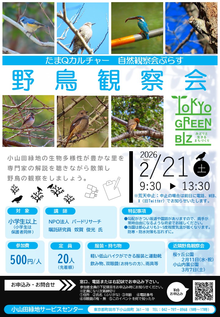 野鳥観察会表