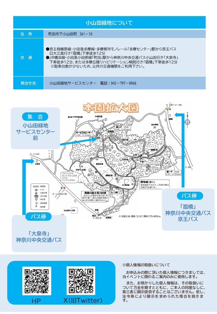 野鳥観察会裏