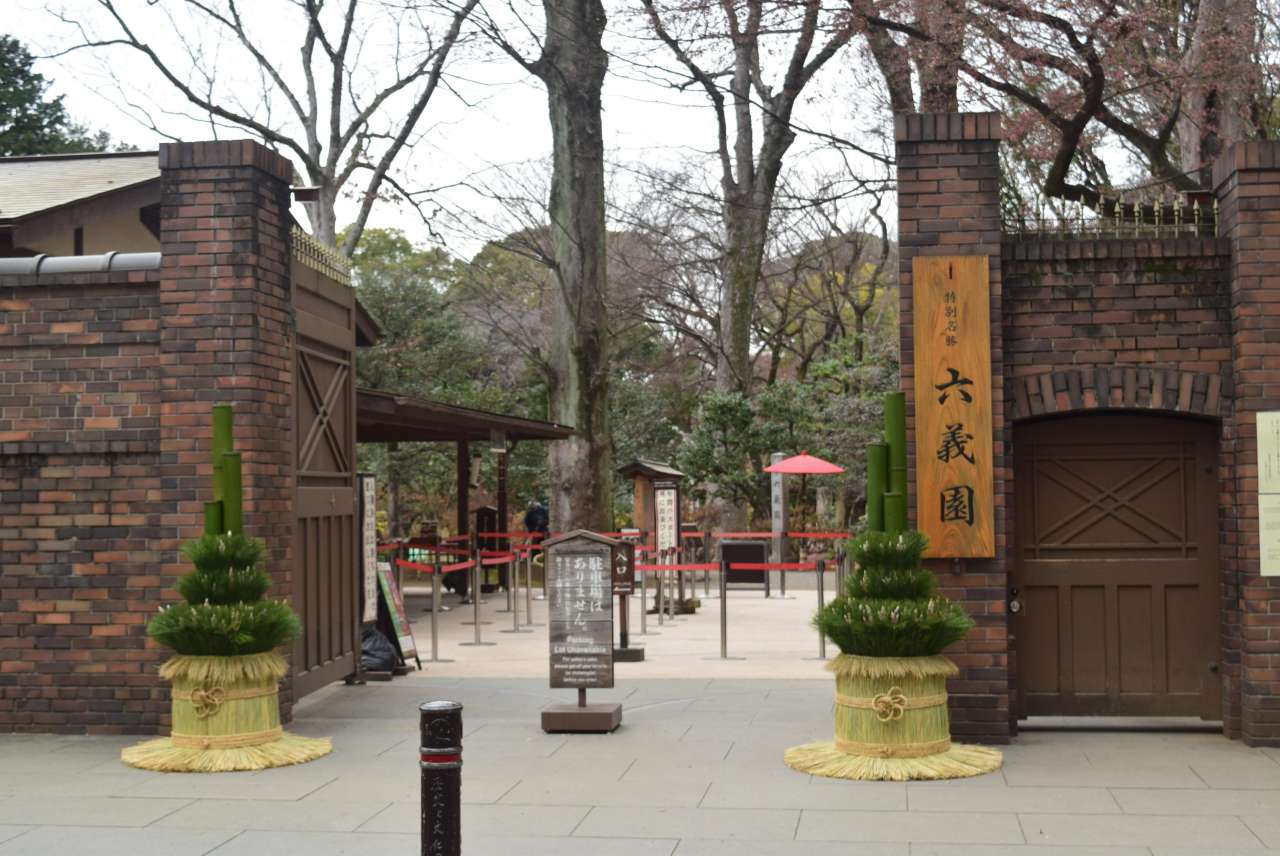 六義園250103門松 (2)