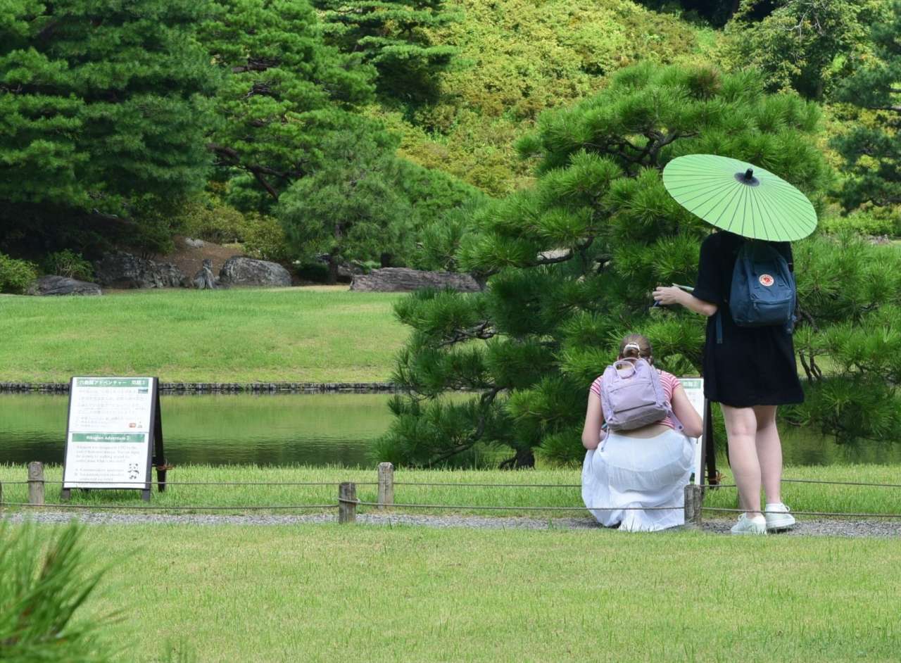 六義園250808アドベンチャー (1)