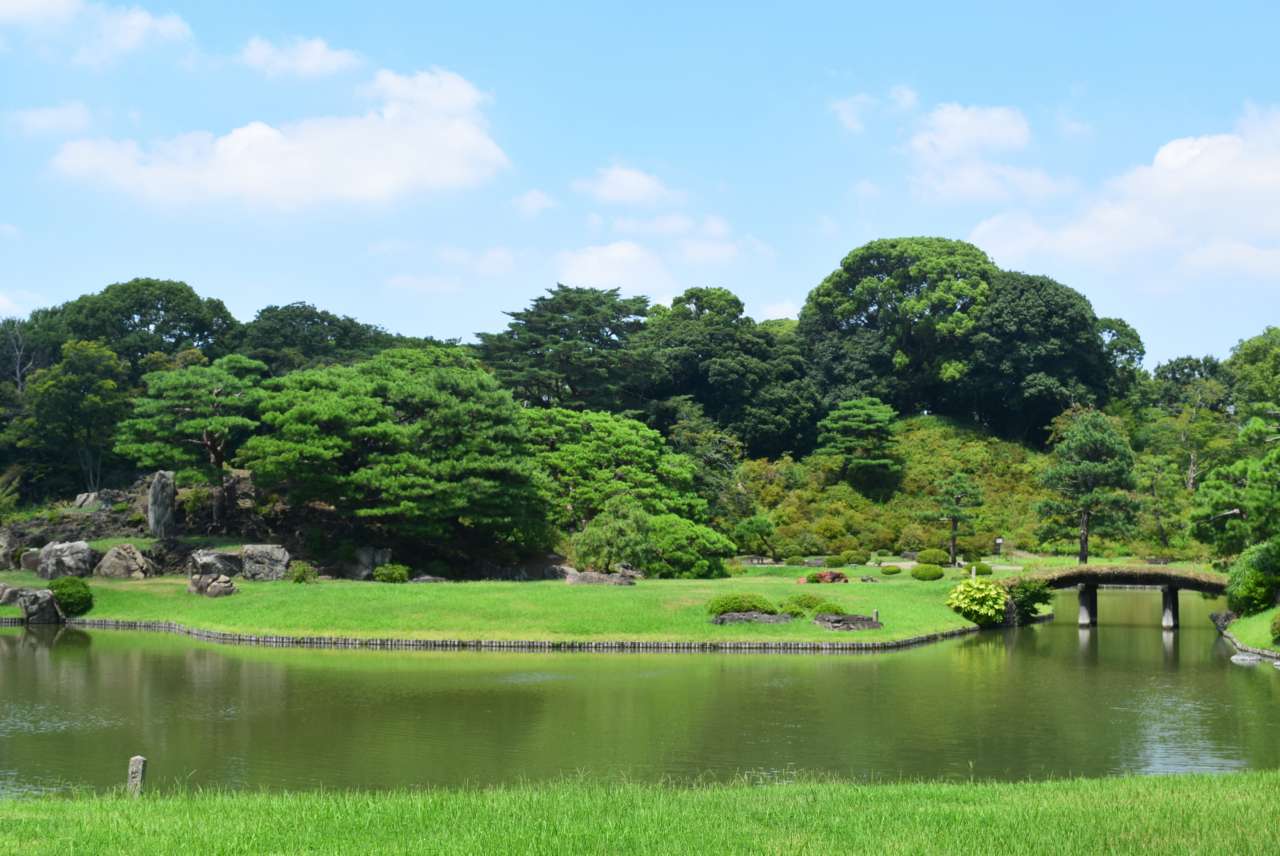 六義園250819中の島 (18)