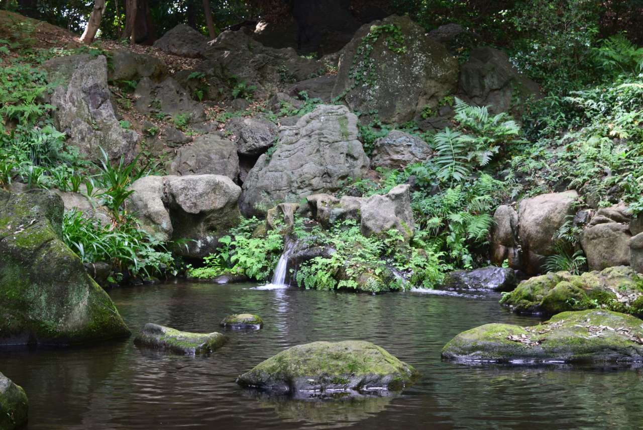 六義園250819水分石 (2)