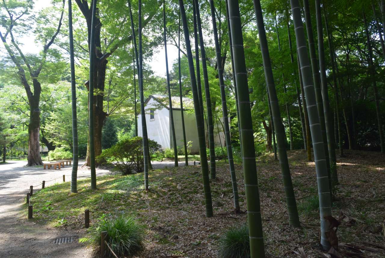 六義園250819竹林と蔵