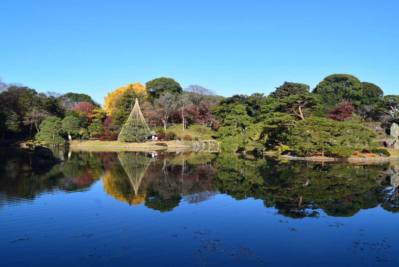 六義園251205大泉水 (1)