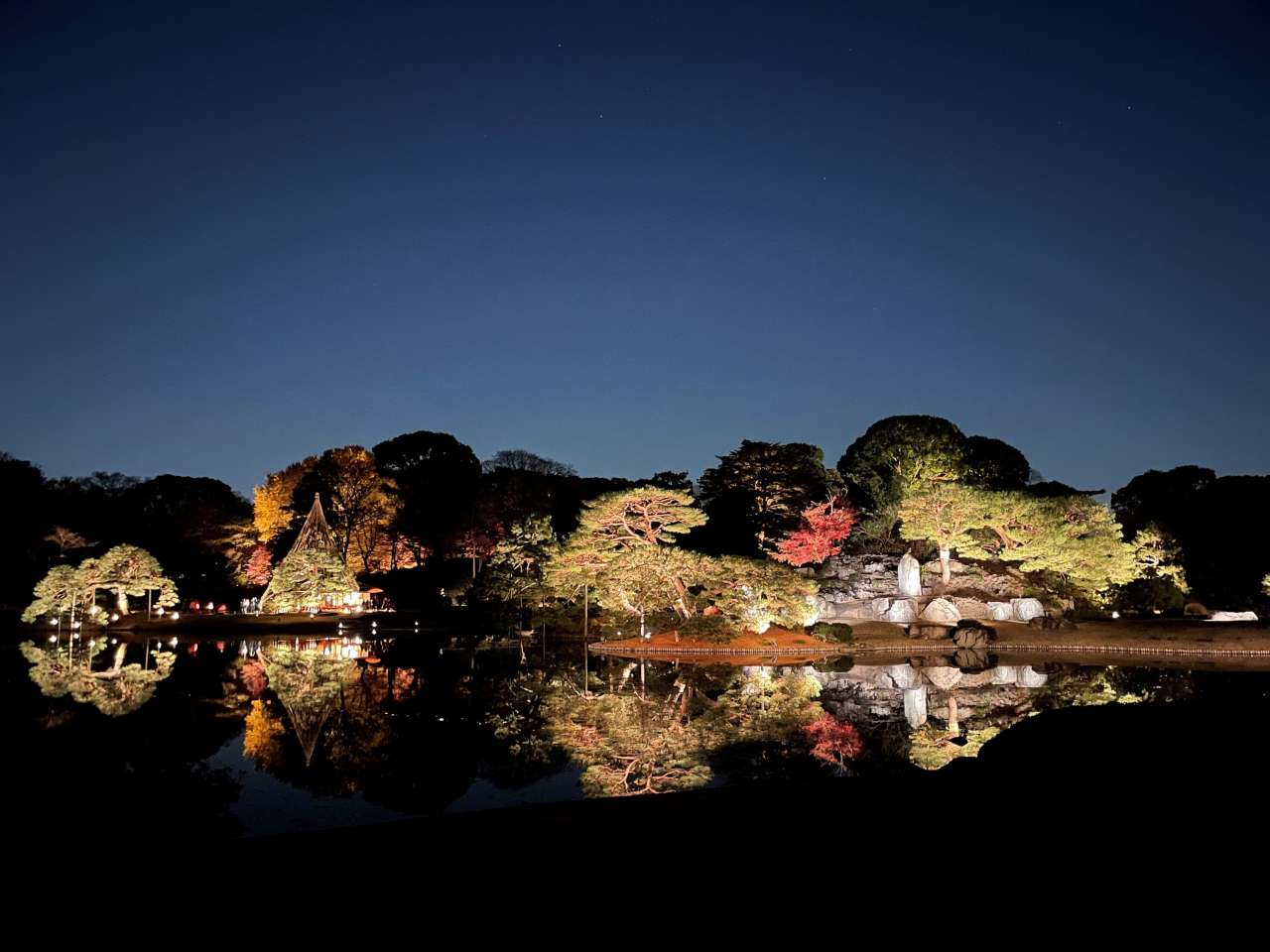 六義園251206玉藻