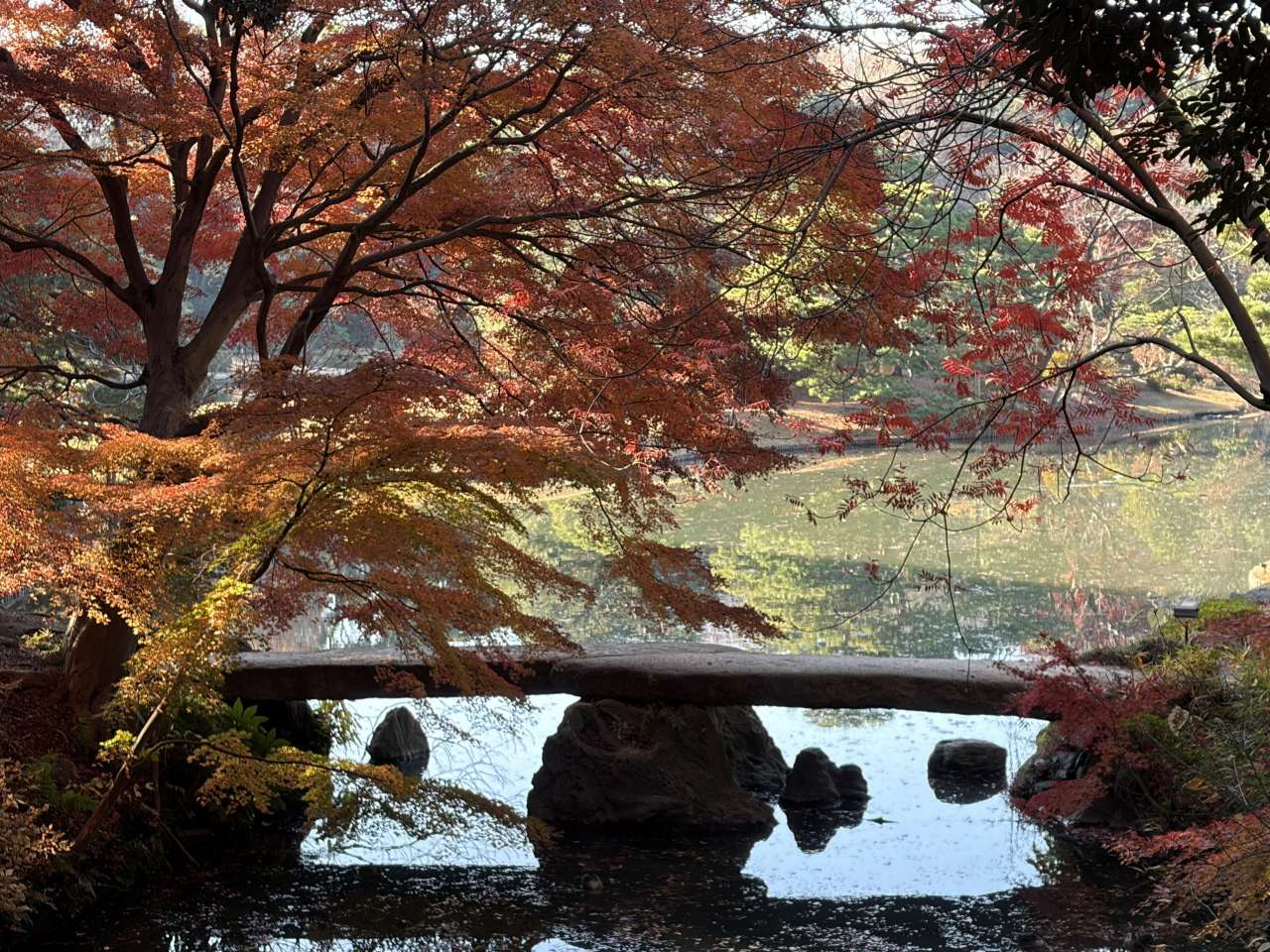 六義園251208渡月橋 (2)