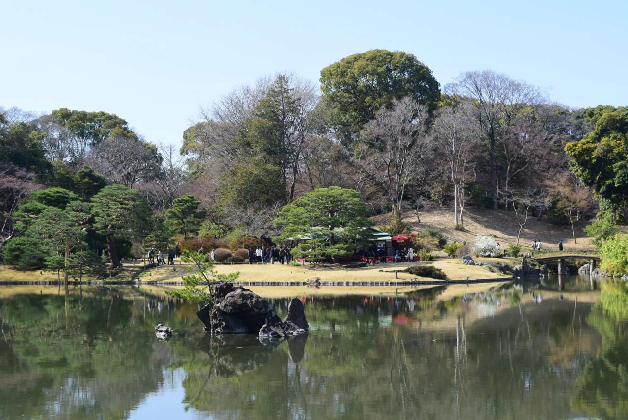 六義園2603323蓬莱島と吹上茶屋