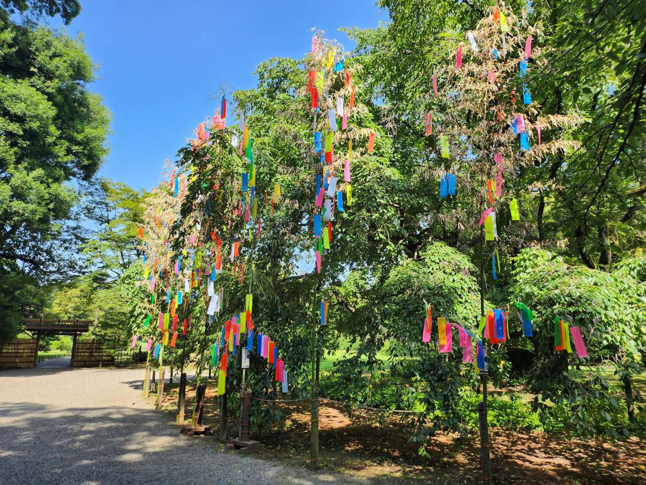 六義園】七夕飾りのお知らせ｜公園へ行こう！
